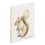 Pagna 26099-15 writing notebook A5 128 sheets Multicolour