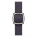 Apple 42mm Midnight Purple Modern Buckle - Large