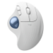 Logitech Ergo M575S mouse Office Right-hand RF Wireless + Bluetooth Trackball 2000 DPI