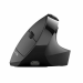 JLab JBUDS ERGONOMIC mouse Right-hand RF Wireless + Bluetooth 2400 DPI