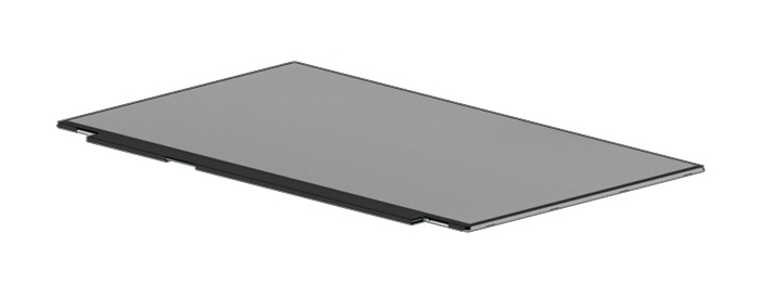 HP M31116-001 notebook spare part Display