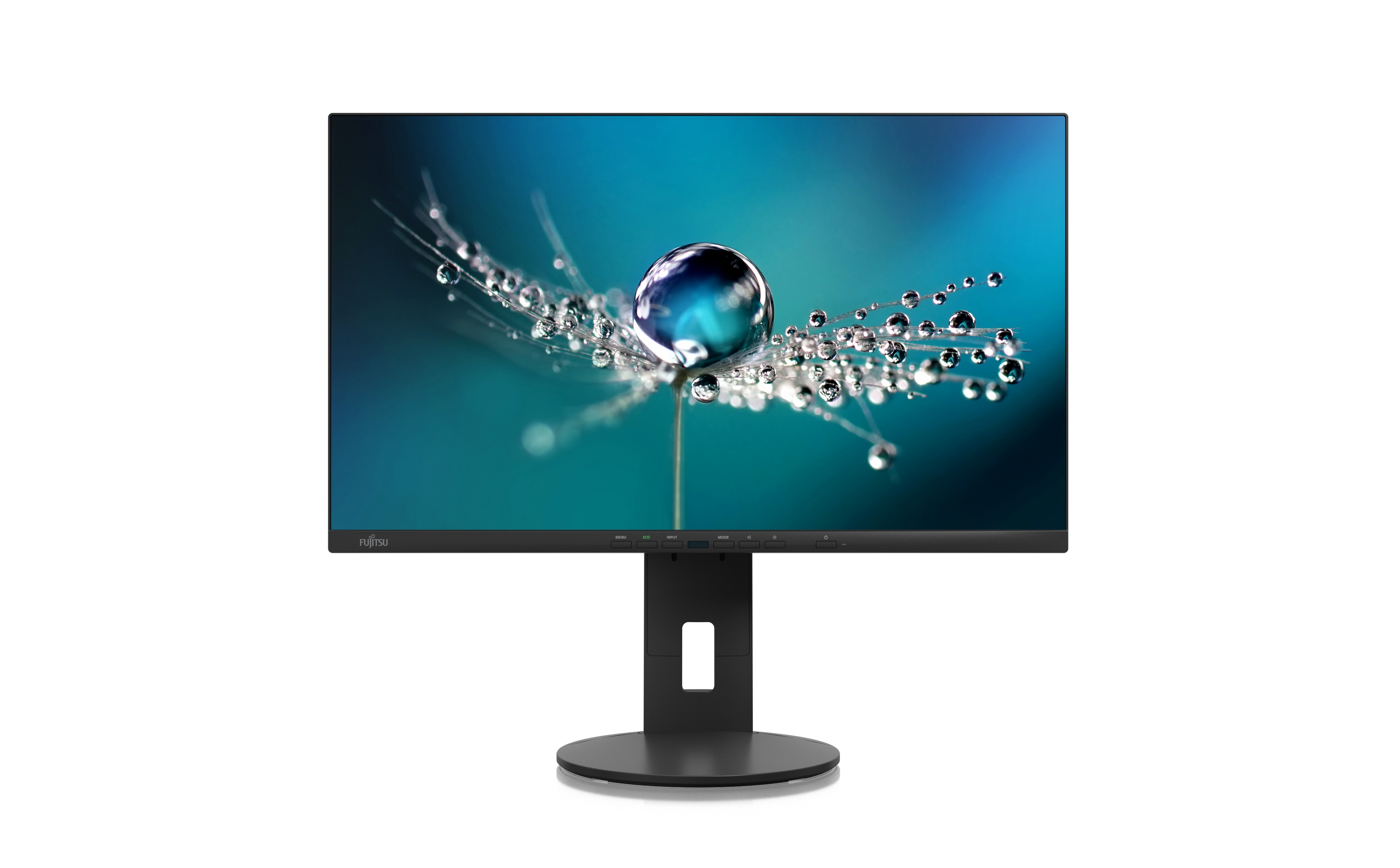 Image of Fujitsu Displays DISPLAY B2410 TS