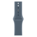 Apple MFFV4ZM/A Smart Wearable Accessories Band Blue Fluoroelastomer