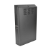 Tripp Lite SRWF4U36 Gabinete Smartrack de 4U de Bajo Perfil, de Profundidad de Switch para Instalación Vertical en Pared