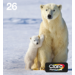 Epson Polar bear Multipack 4-colours 26 EasyMail