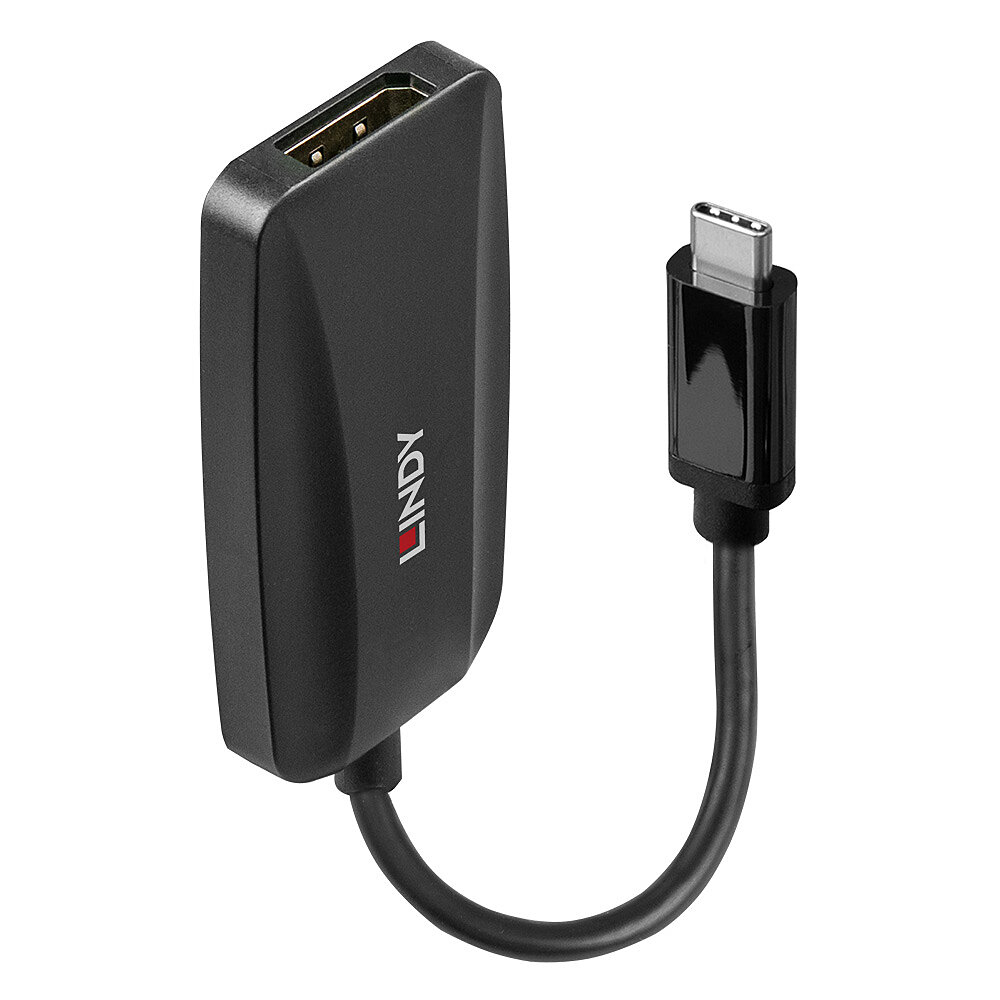 Image of Lindy USB Type C to DP 1.4 Converter