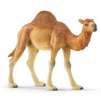 Image of Schleich Wild Life 14832 - 3 yr(s) - Boy/Girl - Multicolour -...