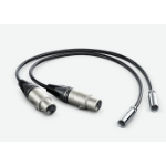 Blackmagic Design HYPERD/AXLRMINI2 audio cable 0.495 m mini XLR (3-pin) XLR (3-pin) Black