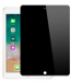 JLC iPad Pro 11 2024 Privacy Tempered Glass