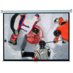 Elite Screens M100NWV1 projectiescherm 2,54 m (100") 4:3