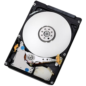 IBM 250GB 3.5" Serial ATA