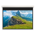 Da-Lite Elpro Concept RF - blackdrop projectiescherm 3,63 m (143") 4:3