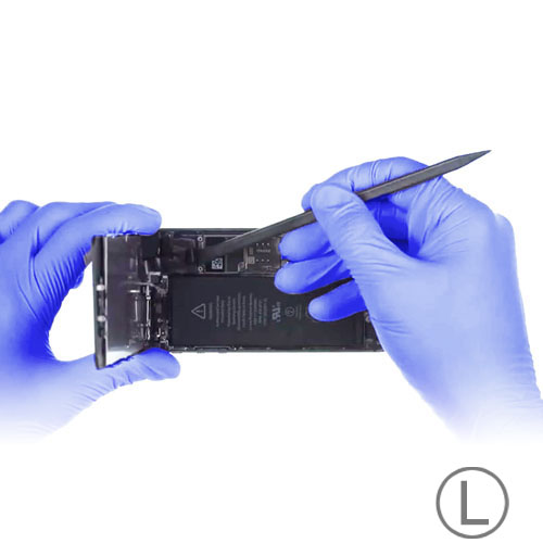 EU Product - AMMEX disposable gloves 10pcs thumbnail