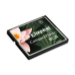 Kingston Technology 8GB CF Card CompactFlash Flash
