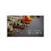LG 43UP5Q-E signage display Digital A-board 43" LCD Wi-Fi 500 cd/m² 4K Ultra HD Black Built-in processor WebOS 24/7