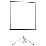 Da-Lite Picture King 244x244 cm Matte White S 1:1 projection screen 3.37 m (132.7")