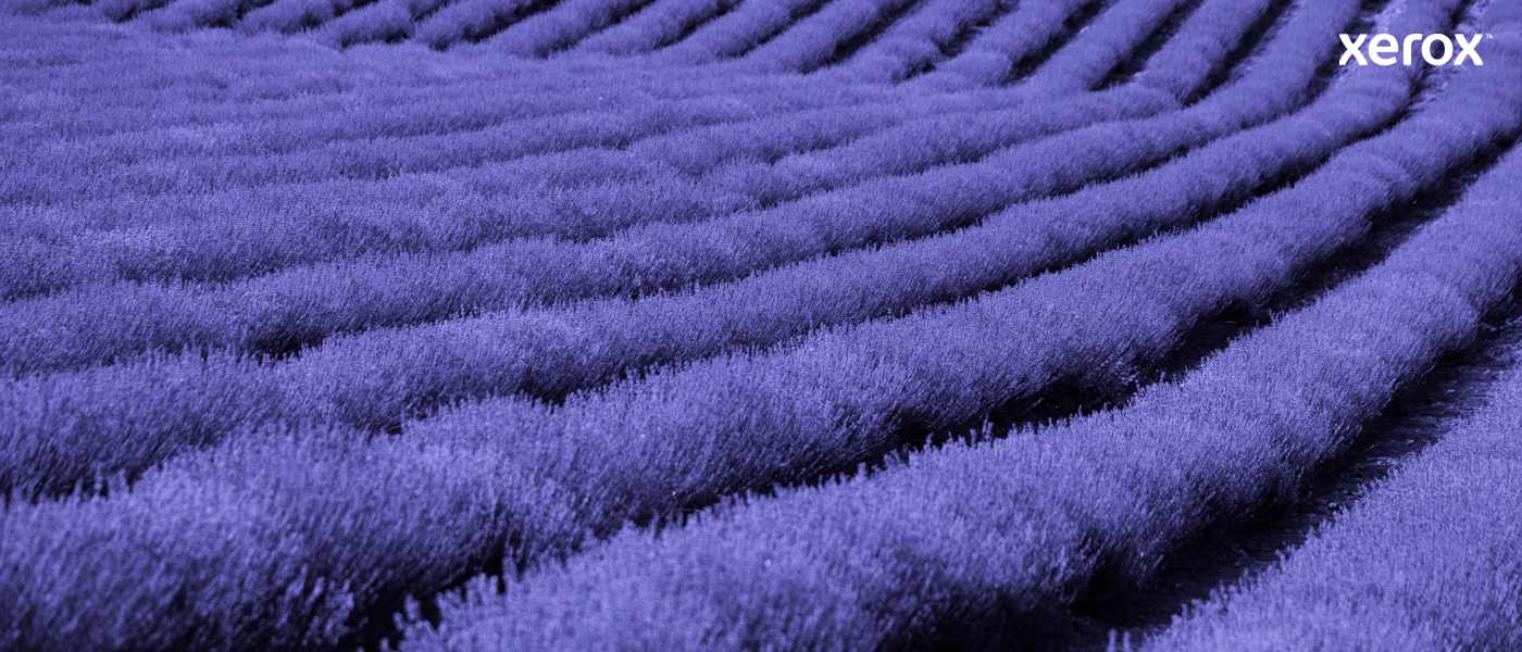 Xerox 006R04376 Toner-kit, 3K pages ISO/IEC 19752 for Xerox B 310