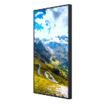 Hisense 49WF25E Signage Display 124.5 cm (49") Wi-Fi 2500 cd/m² Full HD Black Built-in processor Android 9.0 24/7