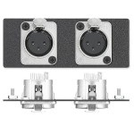 Extron Two XLR 3-pin Female to Solder Cups