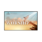 Planar Systems SLE65 Interactive flat panel 65" LCD Wi-Fi 500 cd/m² 4K Ultra HD Black Android 14 24/7