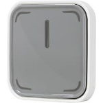Osram Smart electrical switch Grey