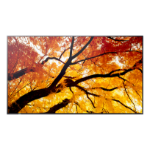 Sharp MultiSync M862 Digital signage flat panel 2.18 m (86") LCD 550 cd/m² 4K Ultra HD Black 24/7