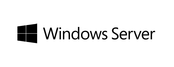 Fujitsu Windows Server 2019 CAL Client Access License (CAL) 10 license(s)