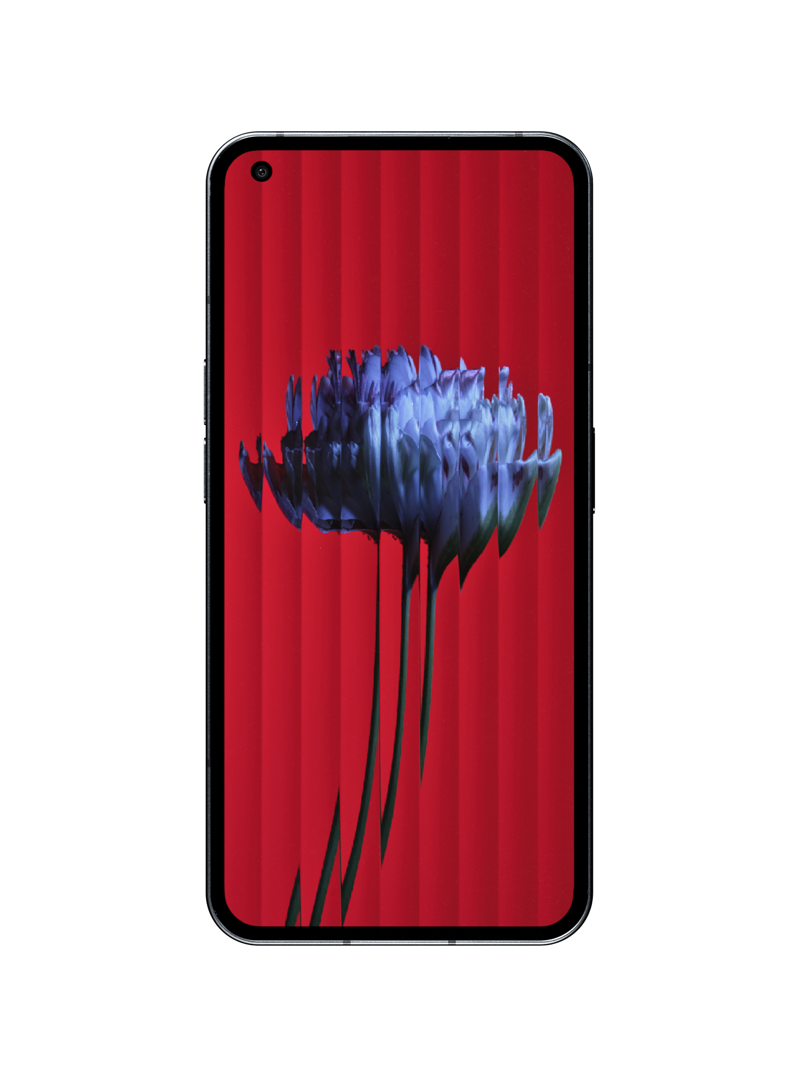 Image of Nothing Phone (1) 16.6 cm (6.55") Dual SIM 5G USB Type-C 8 GB 256...