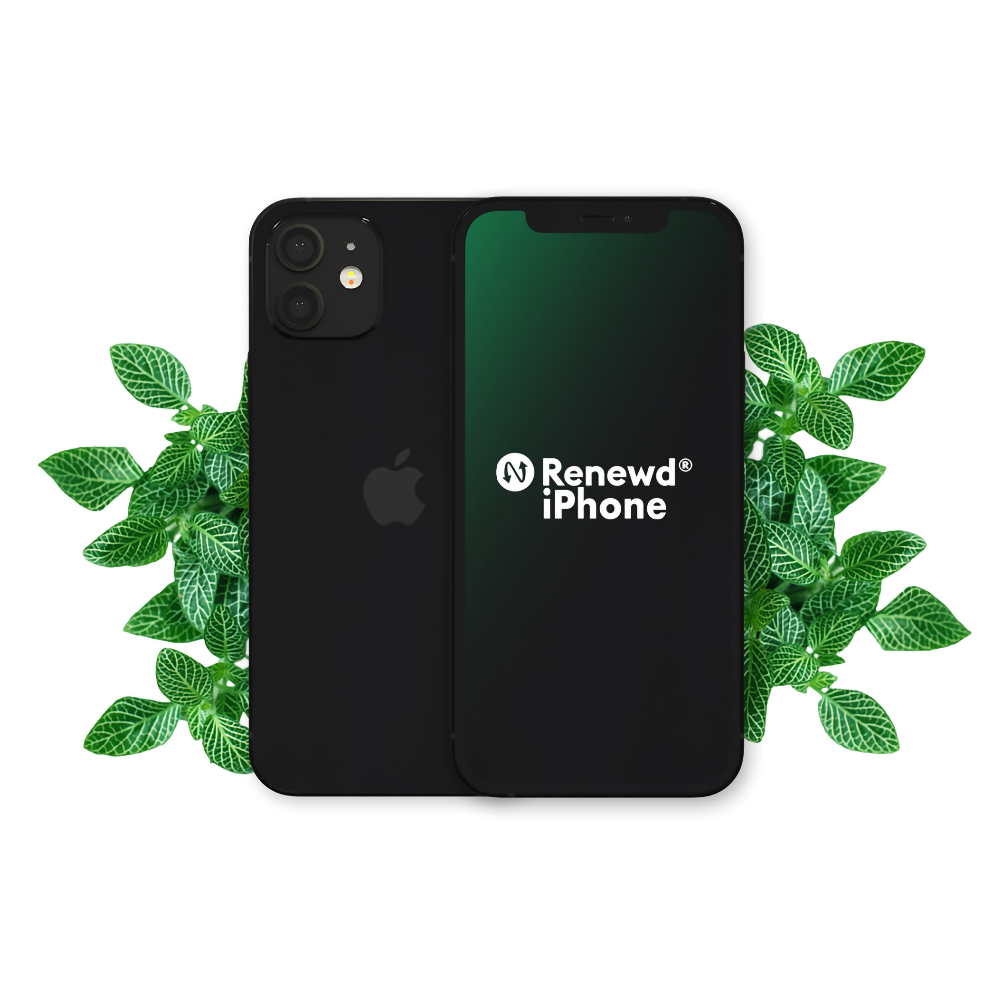 Renewd iPhone 12 Black 64GB