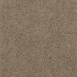 Middle Atlantic Products Focal Point TruTile Acoustic Wall Panel in Hazelwood, Wide Rule