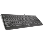 Wortmann AG TERRA Keyb. KC1000 keyboard USB QWERTY US International Black