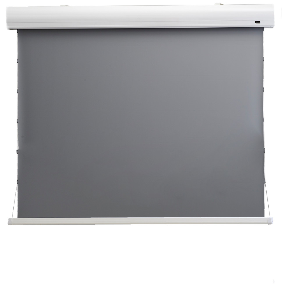 Celexon HomeCinema - 177cm x 99 cm - 80" Diag - Dynamic Slate ALR - Electric Tensioned High Contrast screen