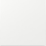 GIRA 329670 wall plate/switch cover White