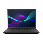 Infinity N7-14R9A-999 laptop Intel® Core™ i9 i9-14900HX 43.2 cm (17") WQXGA 16 GB DDR5-SDRAM 1 TB SSD NVIDIA GeForce RTX 4070 Wi-Fi 6E (802.11ax) Windows 11 Home Black