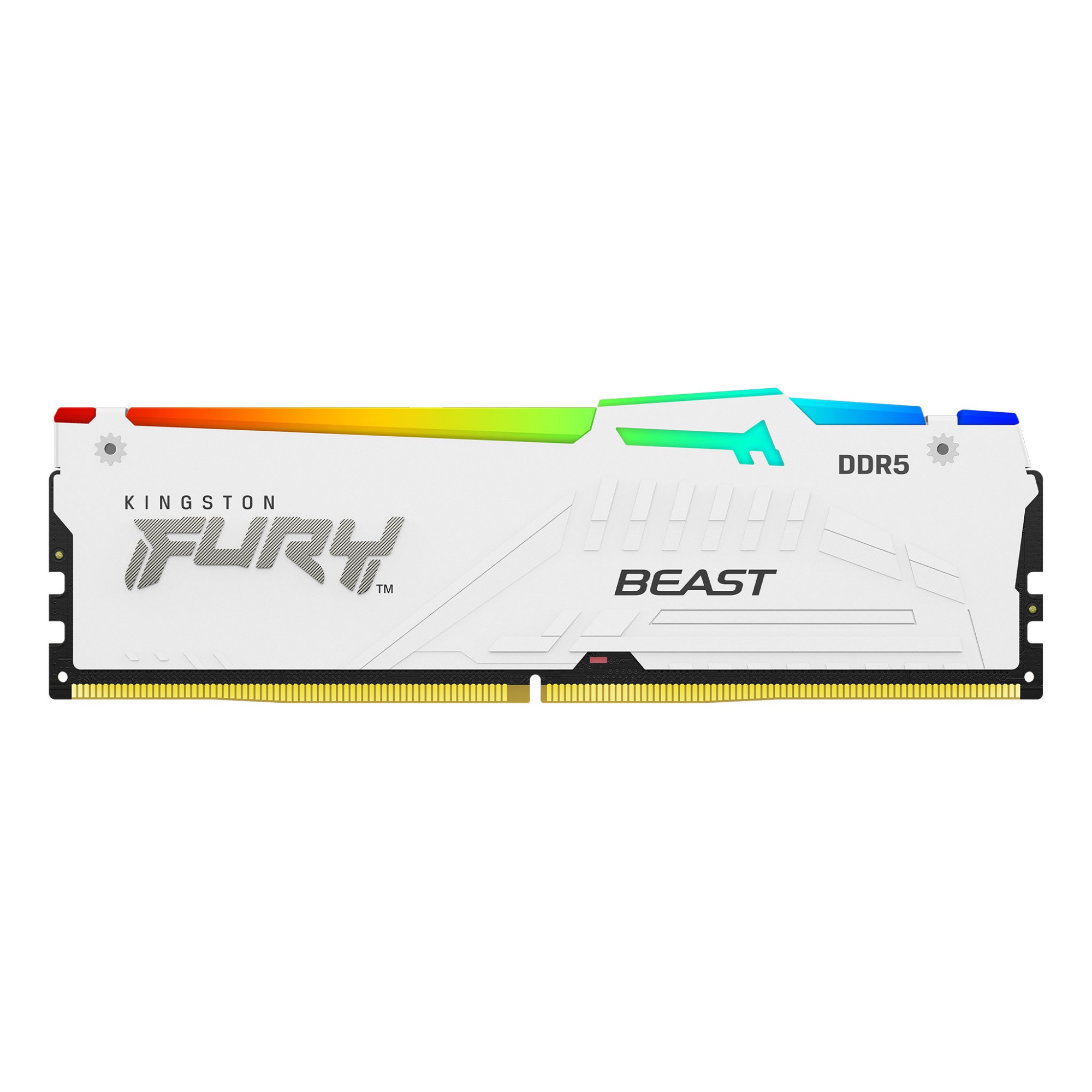 Kingston DDR5 Beast RGB  Convergent Distribution