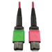 Tripp Lite N846D-05M-16BMG InfiniBand/fibre optic cable 196.9" (5 m) MTP OFNP Magenta