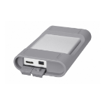 Sony 1 TB Thunderbolt/USB 3.0 external hard drive USB Type-A 3.2 Gen 1 (3.1 Gen 1) Grey