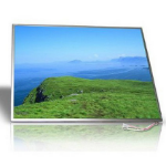 DELL DF056 laptop reserve-onderdeel Beeldscherm