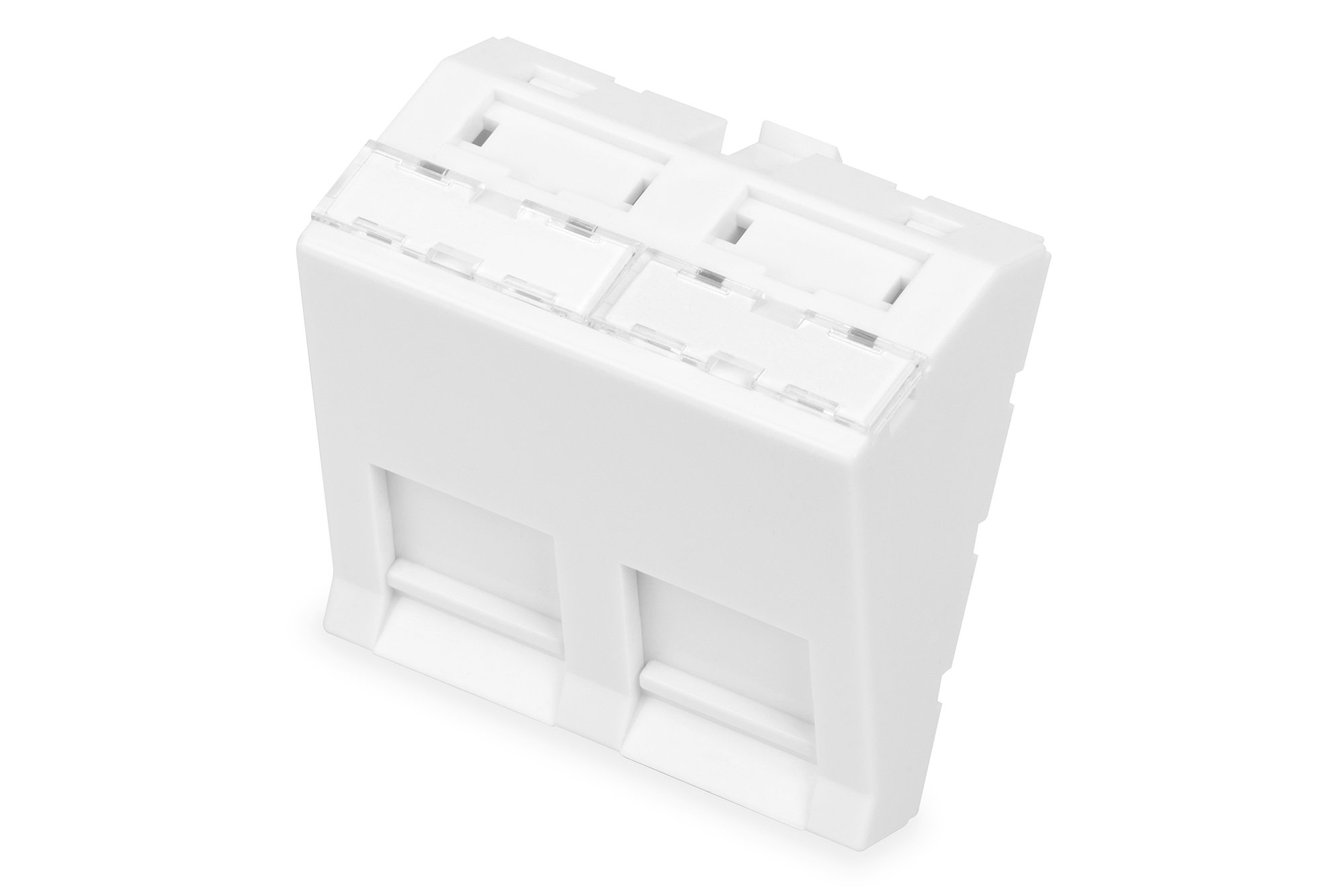 Image of Digitus Front panel, 2-port, 45 x 45 mm, angled, for frame...