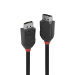 Lindy 1m DisplayPort 1.2 Cable, Black Line