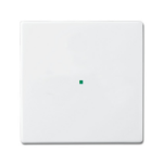 Busch-Jaeger 2CKA006220A0034 detector mount/base cover plate White