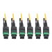 Tripp Lite N392-45M-3X8-AP InfiniBand/fibre optic cable 1771.7" (45 m) MTP OFNP Yellow