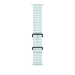 Apple 49mm Ice Blue Ocean Band - Black Titanium Finish