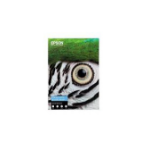 Epson C13S450268NQ papier voor inkjetprinter A3+ (330x483 mm) Glad 25 vel Meerkleurig