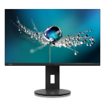 Fujitsu Displays DISPLAY B2410 TS