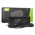 Green Cell ACEBIKE21 power adapter/inverter Indoor Black