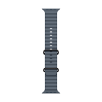 Apple Titanium Finish Band Blue Fluoroelastomer, Titanium