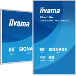 iiyama 65" 4K UHD Digital Signage Display — Sleek, Flexible, and Ready for Any Creative Space