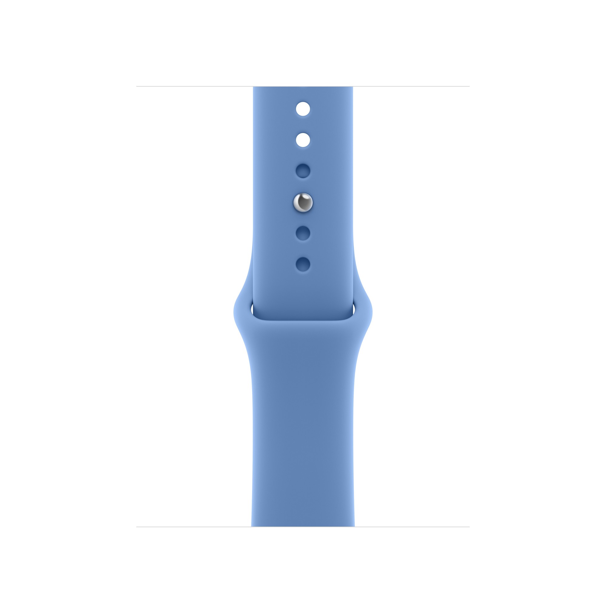 Apple 40mm Wildflower Blue Sport Band - M/L