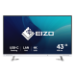 EIZO FlexScan EV4340X-WT computer monitor 108 cm (42.5") 3840 x 2160 pixels 4K Ultra HD LED White